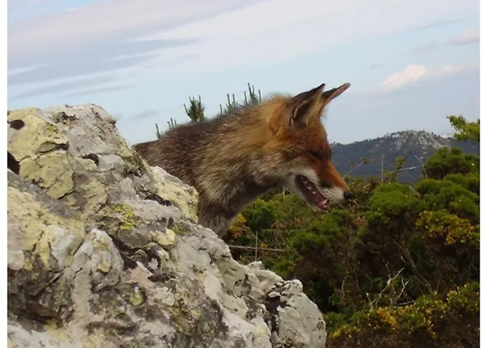 בית נופש A Barca Charm House סינטרה